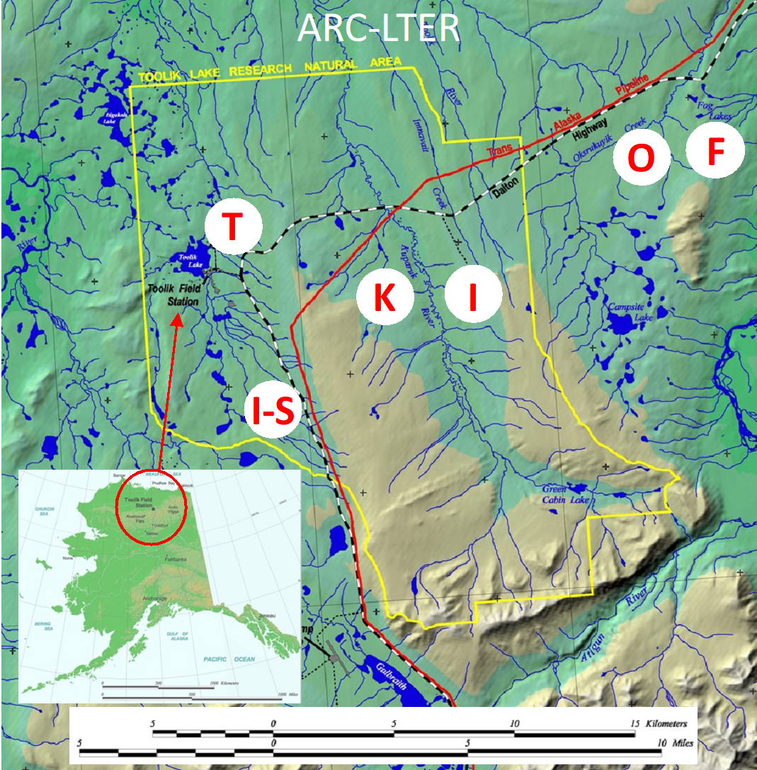 Arctic LTER research sites.